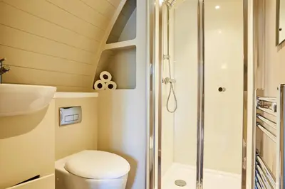 a bathroom with a toilet and a shower at Braidhaugh Holiday Lodge and Glamping Park in Crieff