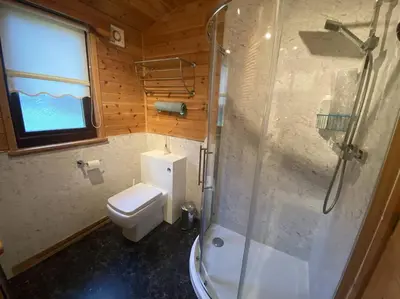 a bathroom with a toilet and a glass shower at Cozy Loch Lomond Lodge 27, Rowardennan in Rowardennan