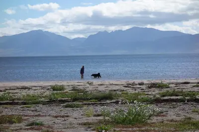 a man and a dog standing on a beach at Chapelhill Hideaway Isle of Bute licence AR00654F in Rothesay