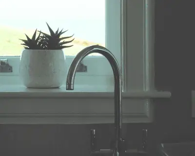 a plant sitting on a window sill next to a sink at Honeysuckle Cottage in Killean