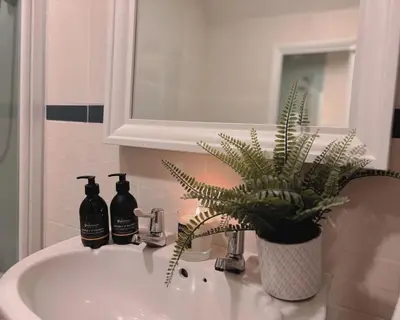 a bathroom sink with a potted plant on it at Honeysuckle Cottage in Killean