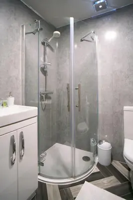 a bathroom with a shower with a sink and a toilet at Meadow Apartment in Dumbarton