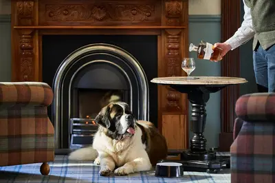 a dog sitting on the floor in front of a fireplace at Oban Bay Hotel in Oban