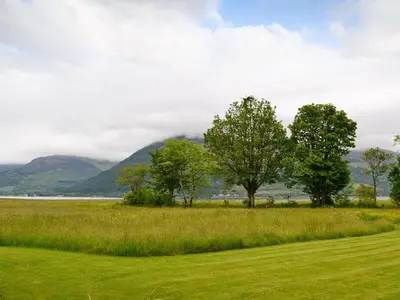 a green field with trees and mountains in the background at Duart in Onich