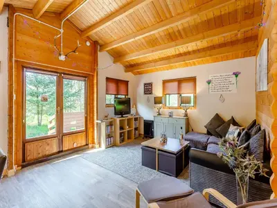 a living room with a couch and a tv at The Willows in Glencoe