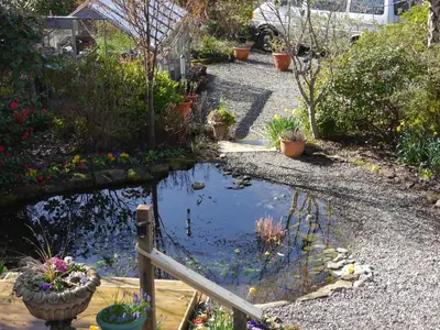 a pond in a garden with flowers and plants at Balmillig B&B in Helensburgh