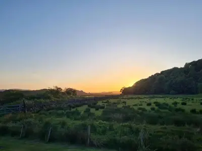 a field of grass with the sun setting in the background at Kings Reach - Dunadd Cottage in Lochgilphead