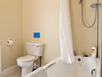 a bathroom with a white toilet and a shower at Blairhosh Cottage in Balloch