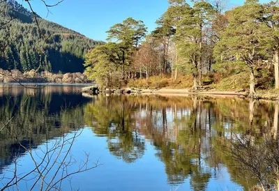 a view of a lake with trees in the background at Eckford House in Dunoon