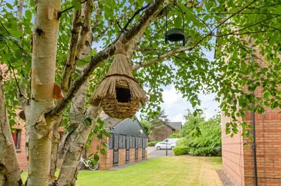 a bird nest hanging from a tree at The Riverside Rest 1 in Stirling