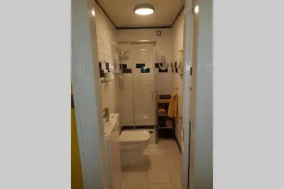 a bathroom with a toilet and a sink and a shower at Snug - Fountain Bank Apartment in Helensburgh