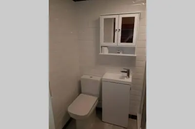 a white bathroom with a toilet and a sink at Snug - Fountain Bank Apartment in Helensburgh
