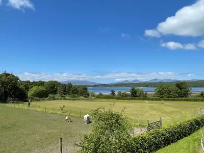 two animals grazing in a field with a lake at Còsagach Flat near Oban in Barcaldine
