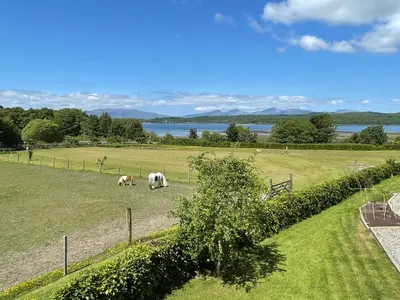 two animals grazing in a field with a fence at Còsagach Flat near Oban in Barcaldine