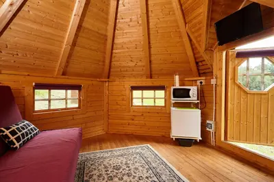 a log cabin with a stove and a microwave at Cruachan Caravan and Camping Farm in Killin