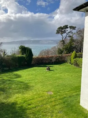 a grassy yard with a dog sitting in the grass at Dunholm Cottage in Skelmorlie