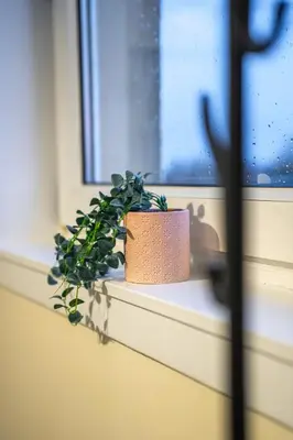 a potted plant sitting on a window sill at Livi House in Livingston