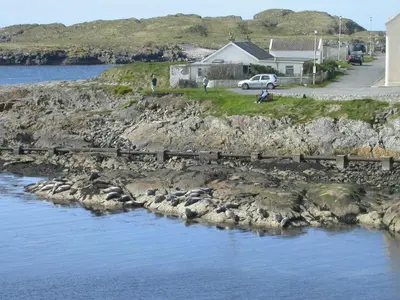 a group of rocks next to a body of water at Seal Cottage in Portnahaven