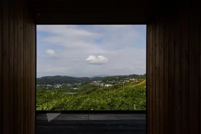 a window with a view of a field of trees at The Black Cabin Oban in Oban