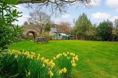 a park with a picnic table and yellow flowers at The Haven in Saint Fillans