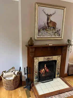 a fireplace with a picture of a deer on the wall at The Haven in Saint Fillans