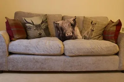a couch with pillows with animals on it at Caledonian - Charming Central 1 Bed Flat in Edinburgh