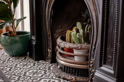 a group of cactuses in a fire place at Stylish Victorian Apartment's close to the Botanical gardens, Free parking! in Edinburgh