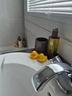 two rubber ducks sitting on top of a bathroom sink at Links Golf Villa in Troon