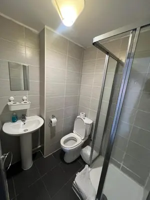 a bathroom with a toilet and a sink and a shower at Boreland Lodge Hotel in Inverkeithing