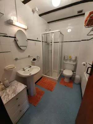 a bathroom with a shower and a sink and a toilet at Ash Cottage in Stranraer