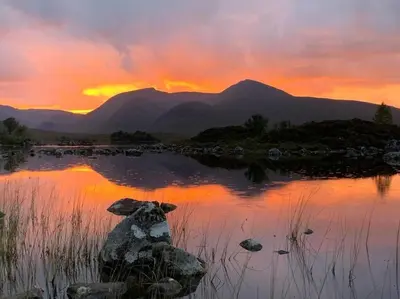 a dog sitting on a rock in the water at sunset at West Highland Snug in Kinlochleven