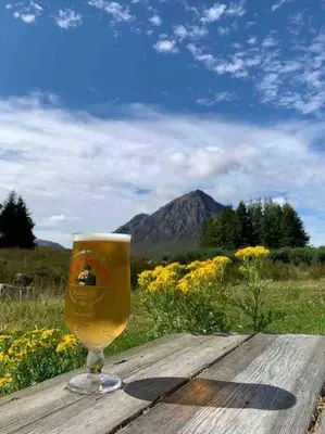 a glass of beer sitting on a wooden table at West Highland Snug in Kinlochleven