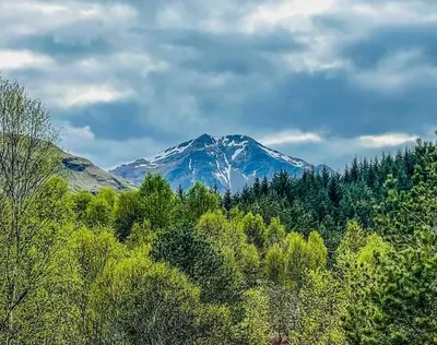 a snow covered mountain in the middle of a forest at Scottish Highland Cottage Tyndrum Upper Station in Crianlarich