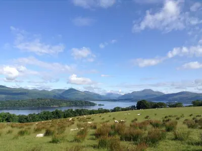a herd of animals grazing in a field next to a lake at Holiday Home Lorn Mill-2 by Interhome in Balloch