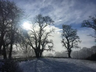 a snow covered field with trees and the sun in the sky at Willow Cottage, Gilchristland Organic Farm in Closeburn