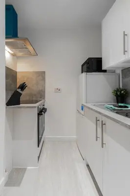 a kitchen with white cabinets and a black bird on the counter at Dyke Apartment in Bailleston