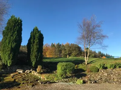 a group of trees in a field with a tree at Sheildaig Farm in Balloch