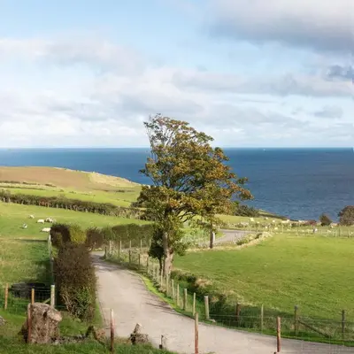 a dirt road with a tree and the ocean at Sea View Farmhouse in Cushendun