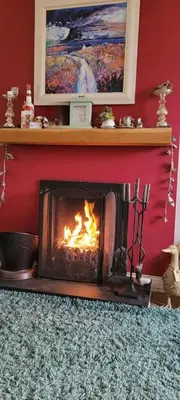 a fireplace in a living room with a fire in it at Spacious 2 bedroom house on the edge of Balloch in Balloch