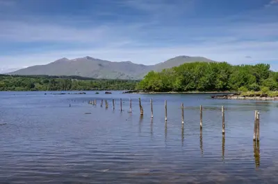 a lake with poles sticking out of the water at Blar Cottage (Private Sauna + Fast Starlink Wifi) in Hayfield