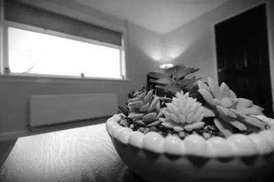 Gallery image of Signature - Sunnyside House in Holytown