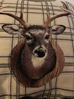 a drawing of a deer head on a pillow at Wilmar Lodge in Arrochar