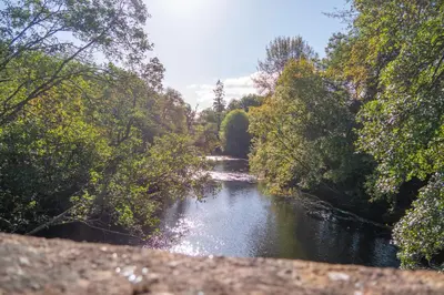 a river with rapids in the middle of a forest at Cobleland Campsite in Gartmore