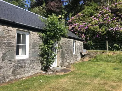 an old stone house with a bush growing out of it at Ellary Cottage in Stonefield