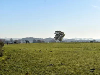 a field with a tree and horses in a field at The Old Mill in Linlithgow