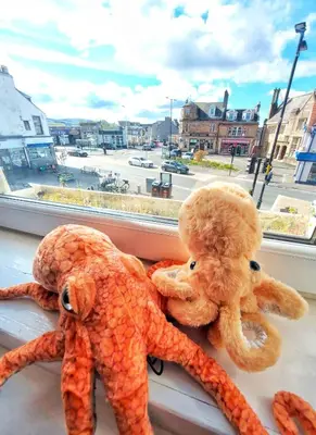 two stuffed teddy bears sitting on a window sill at The Octopus - at Largs Town Centre with Private Parking in Largs