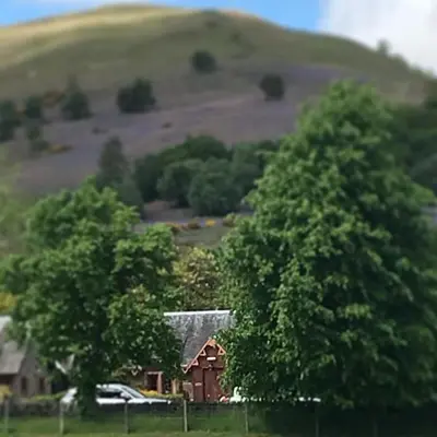 a house in the middle of a field with two trees at Alderdale B&B in Luss