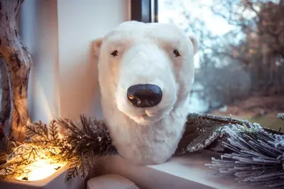 a white polar bear head sitting on a window sill at Cameron North Lodge in Alexandria