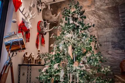 a christmas tree in a corner of a room at Cameron North Lodge in Alexandria