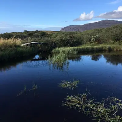 a bridge over a river in a field at Bremenvoir Barn in Bunessan